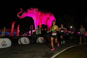 BIB: 
                            <button type="button" onclick="openModal(26534516)" class="btn btn-primary btn-sm float-right btn-popup" data-toggle="modal" data-target=".modal-high-quality">
                        <i class="fas fa-shopping-cart"></i> Add to Cart
                    </button>
                                            <button type="button" onclick="isThisMe(26534516, true)" class="btn btn-success btn-sm float-right btn-popup btn-isme hidden" data-toggle="tooltip" data-placement="bottom" title="นี่คือรูปของคุณใช่ไหม คลิกที่นี่เพื่อเอาเข้าอัลบั้ม">
                        <i class="fas fa-plus"></i> Add to album
                    </button>
                    <button type="button" onclick="isThisMe(26534516, false)" class="btn btn-warning btn-sm float-right btn-popup btn-isnotme hidden">
                        <i class="fas fa-ban"></i> Remove from album
                    </button>